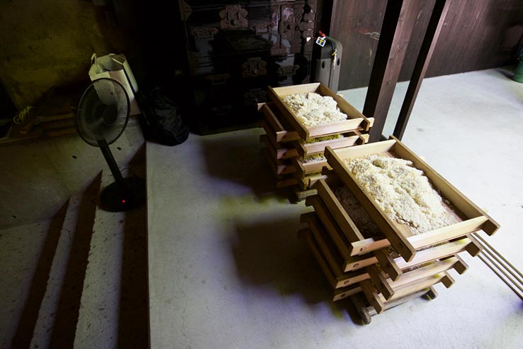 麹づくりワークショップ